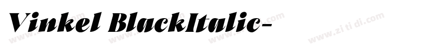 Vinkel BlackItalic字体转换